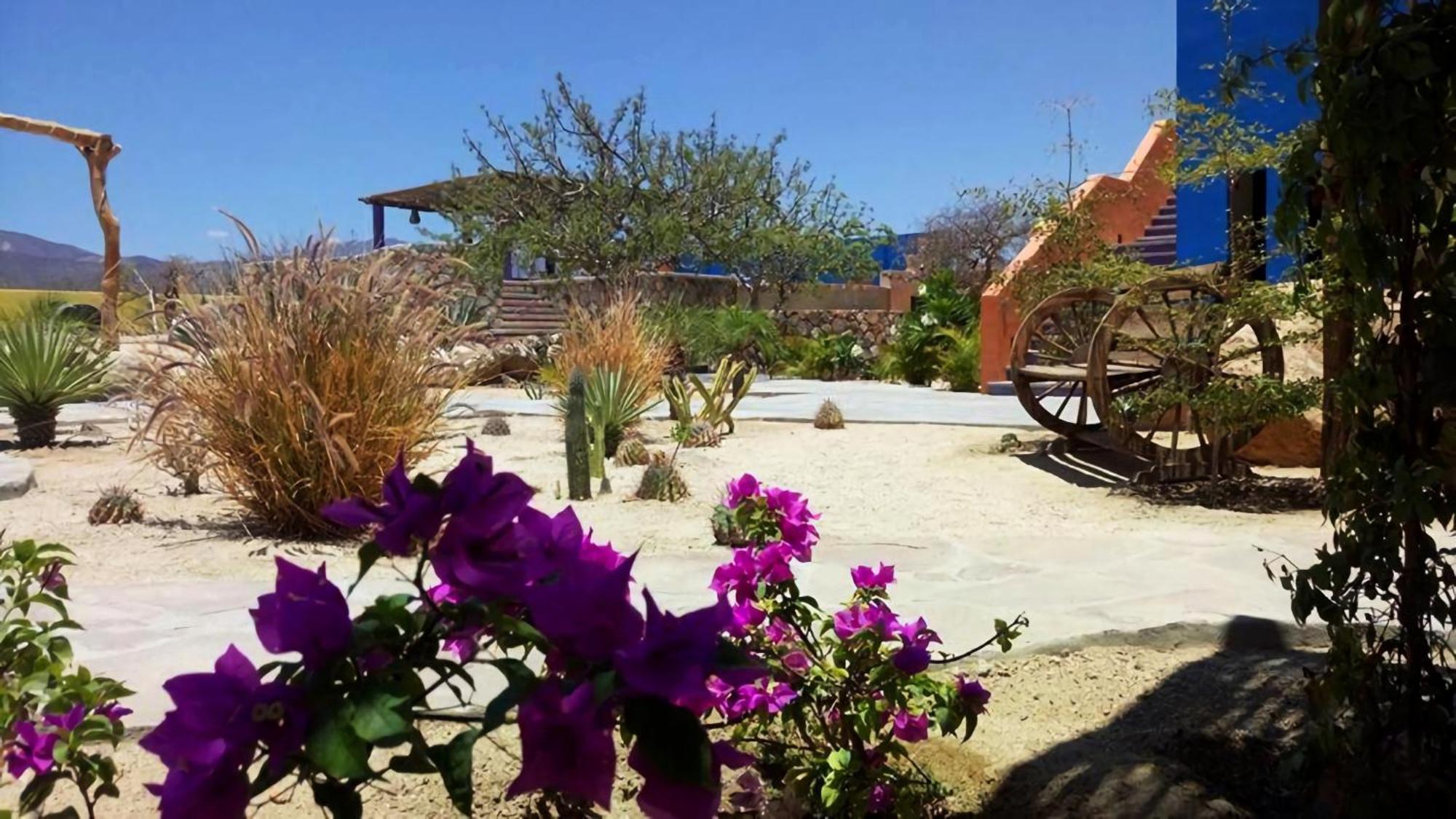 Hotel Boutique Las Terrazas El Cardonal Eksteriør bilde